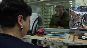 Запуск гигафабрики