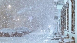 Вот вернулся из поездки дальней 1в! 2дб - стихи Виктора Левашова, Ярославль.