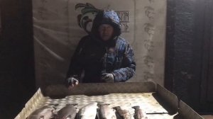 итоговый улов форели
