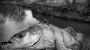 Рыбалка на плотине в путилково