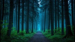 СЛУЧАЙ В ШАХТЕ! Страшные Истории На Ночь!