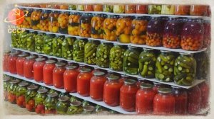 Почему в Советском Союзе зиму НАЧИНАЛИ готовить летом