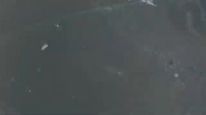 первый лед🐋🎣📽️#рыбалка на малой речке #лед только начал становится,вот это открылся