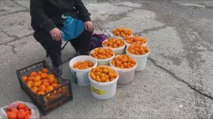 🌴Воскресный Рынок в Гаграх.🍊Цены УДИВИЛИ 🍊Завтрак в Гриль Баре Мохито.🌞Мои покупки 🛍️