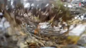 СВО День 1390: Боевая работа расчетов Центра «Рубикон»