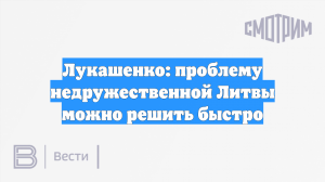 Лукашенко: проблему недружественной Литвы можно решить быстро