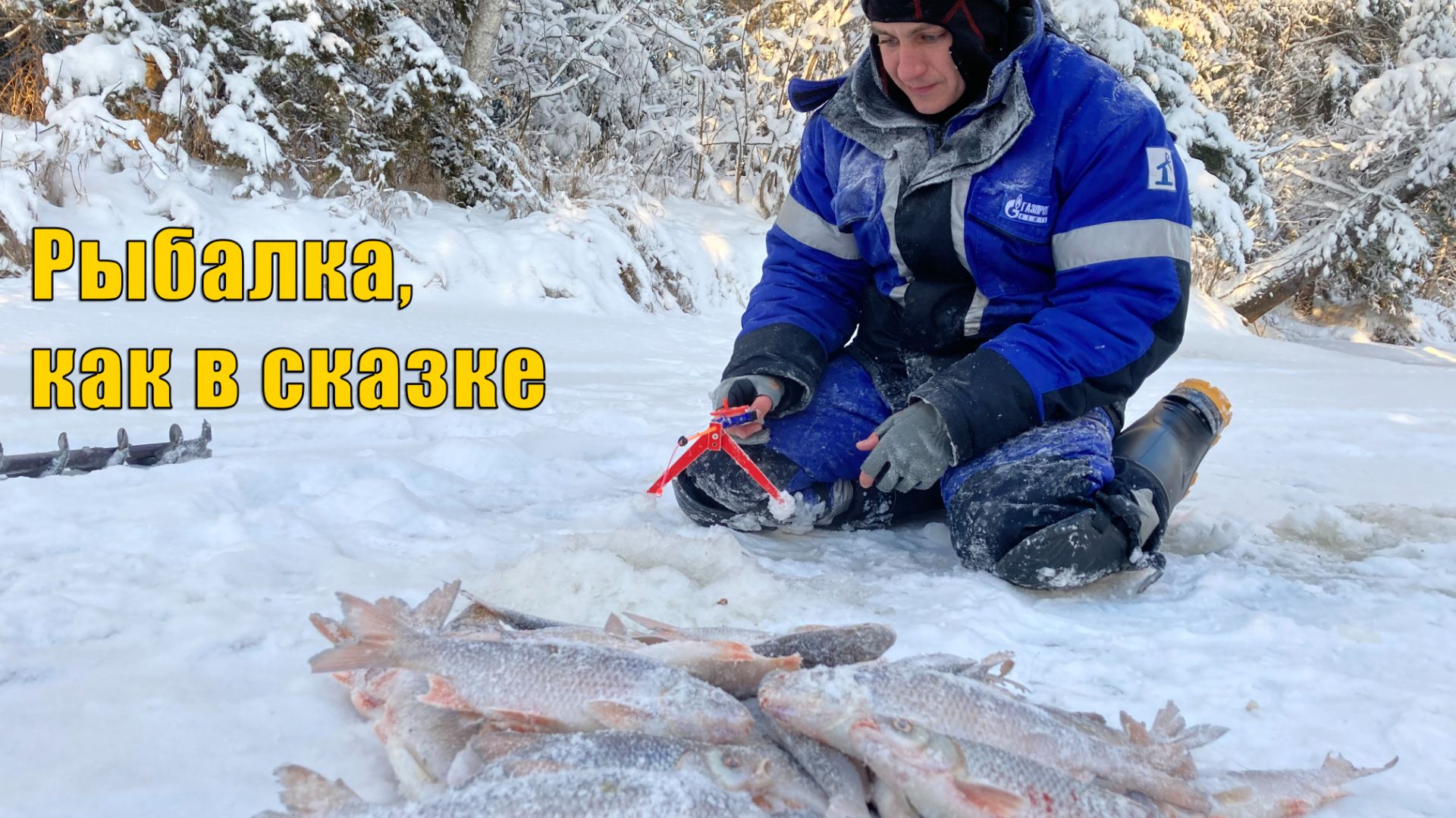 Вот такой бывает клев, когда ты на реке один. Первый лёд. Зимняя рыбалка 2020. смотреть онлайн