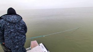 Полиция Ростовской области продолжает борьбу с браконьерством на водоемах региона