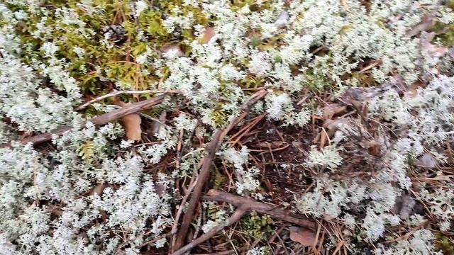 3-VID_20240814_154303