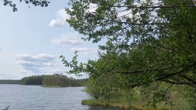 Руководитель Мухтоловского межрайонного лесничества Петр Хрипунов