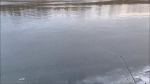 Ловлю на Донку, на червя и искуственного мотыля, река Дон, мкр. Малышево, Воронеж, 15.12.2025 года