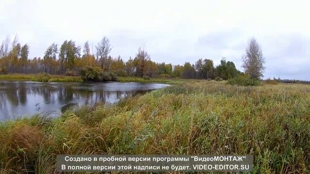 Охота 29 09 2019 смотреть онлайн