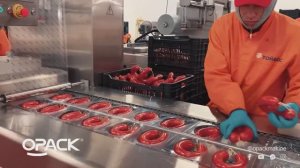 Термоформер OPACK QZ 1000 MAXI для упаковки кольцевых колбас в мягкие пленки с термоусадкой