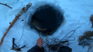 Рыбалка на Енисее, проверка перемётов, есть бонус! 44