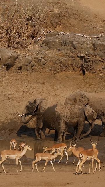 Рекомендуем, сделать звук громче 🔉