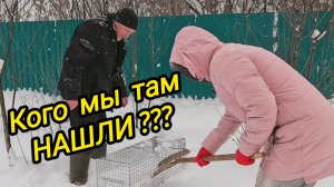 КУПИЛИ ДОМ В ДЕРЕВНЕ | Кого мы там нашли | Дом в деревне | Деревенская жизнь