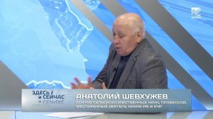 Здесь и сейчас