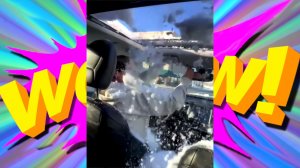 "СМЕХ БЕЗ ГРАНИЦ: ПОДБОРКА СМЕШНЫХ ВИДЕО И ПРИКОЛОВ"