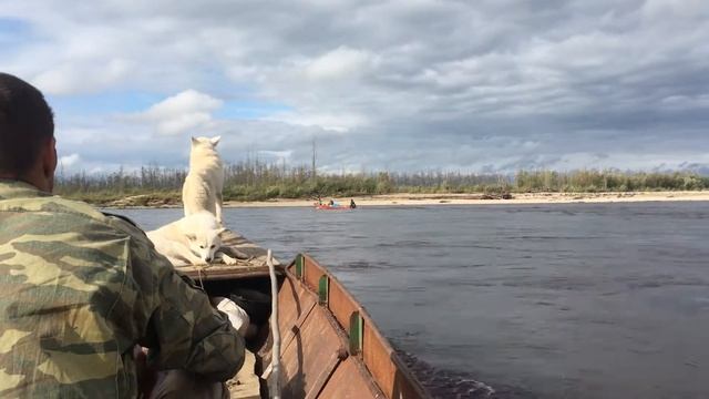 По Зее вверх_4