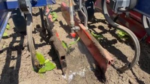 Компания ООО "Агрокрафт" вступила в Союз органического земледелия