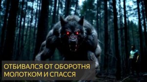 Отбивался от оборотня молотком и спасся