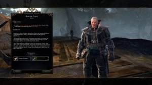 Neverwinter Online