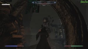 The Elder Scrolls V Skyrim