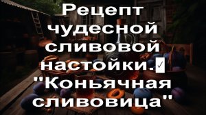 Рецепт чудесной сливовой настойки.✅ "Коньячная сливовица"