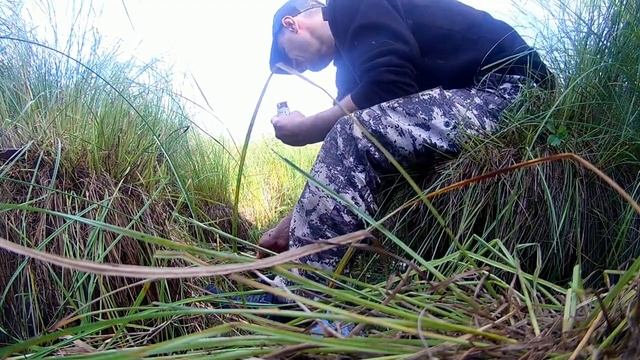 Проверка жилища бобра и испытание приманки Timber смотреть онлайн