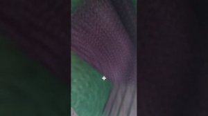 играю на ролики залетай на 49 гриф