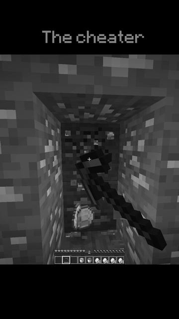 Which Minecraft Player are You #minecraft #minecraftmemes #gaming #funny #memes смотреть онлайн