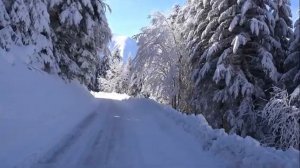 Феерия аккордеона, фортепиано и струнных инструментов @RelaxVibes-n7l