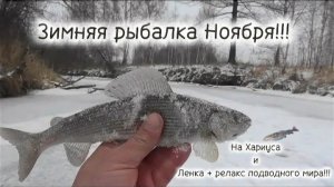 ЗИМНЯЯ РЕЛАКСИРУЮЩАЯ РЫБАЛКА 2025-2026!!! НА Хариуса и Ленка!!!