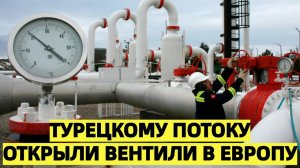 Поставки российского газа в Европу через Турцию обновили рекорд