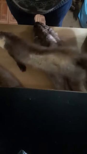 Приемка смотреть онлайн