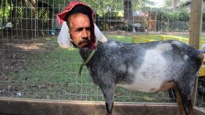 *АПАЧИ* признается, он записанный и сделал скриншот от обнаженной 10 год летней девочки