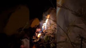 ПРИСУШКА НА САХАР (авторский)