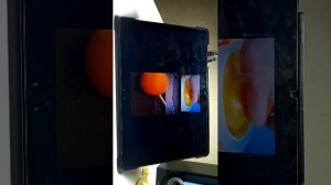 засмеялся опозорился челлендж!!!