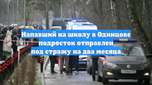 Напавший на школу в Одинцове подросток отправлен под стражу на два месяца