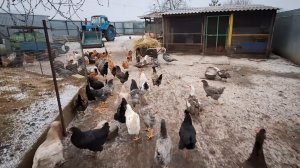 18.12.2025 Жизнь в Деревне