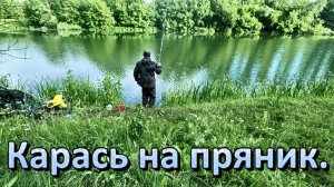 Карась на пряник.