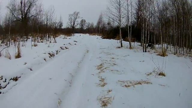 Проверка капканов на куницу 24 12 2020 г смотреть онлайн