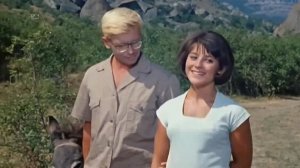 Песенка о медведях (Где то на белом свете) разбор на гармони №-438 с цифрами