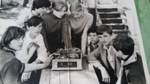 Белая берёза 1