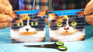 КАК ИЗ ОДНОЙ ФОТОГРАФИИ СДЕЛАТЬ ДВЕ