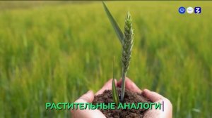 1В. Россия мои горизонты (18.12.25) Россия индустриальная: пищевая промышленность и общепит