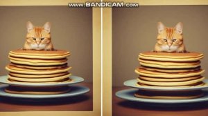 Масленица. С ково рода блины