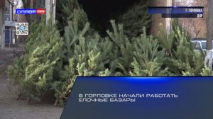 В Горловке начали работать ёлочные базары