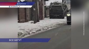 В посёлке Бабушкино под Дзержинском заметили зайца