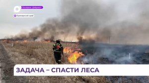 В Приморье подвели итоги пожароопасного сезона 2025 года